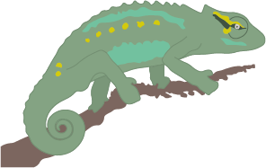 Chamäleon